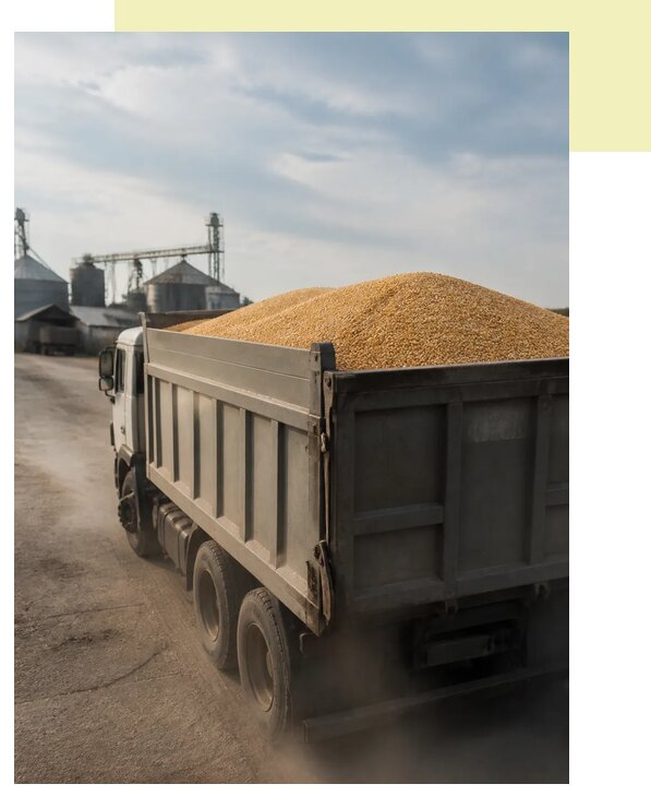 Перевозка сельхозпродукции навалом в Волхов по цене от 3140 р. | Агросервис-Влх